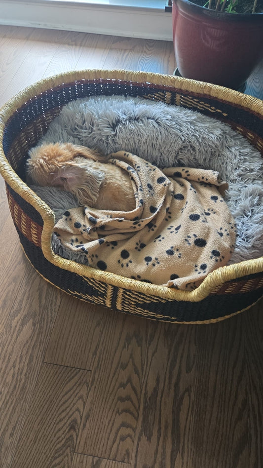 Dog Bed