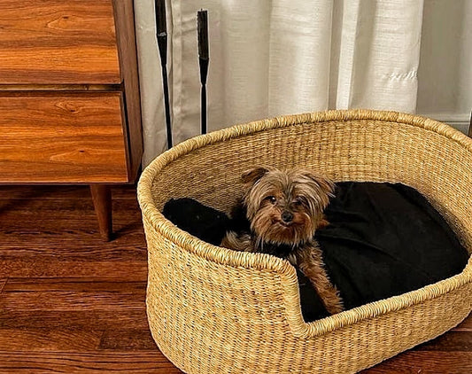 Dog Bed
